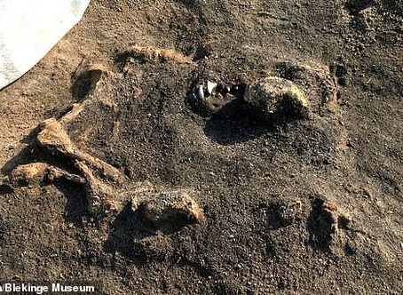 Companion Beyond the Grave: Human Remains Found Alongside Potential a Pet Dog