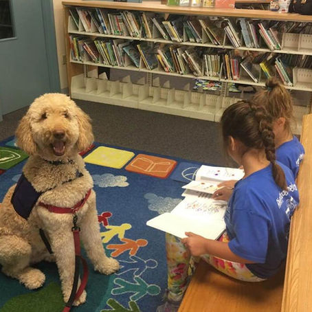 Modern Monday #8: Canine Assisted Therapy (C.A.T.)