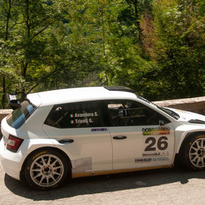 avandero_tricoli_skoda_fabiar5.jpeg