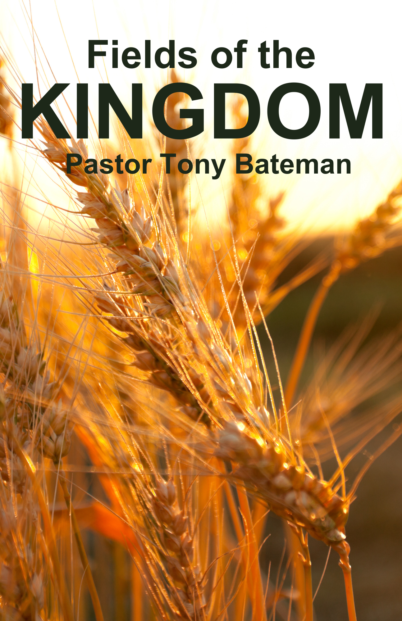 Fields of the Kingdom