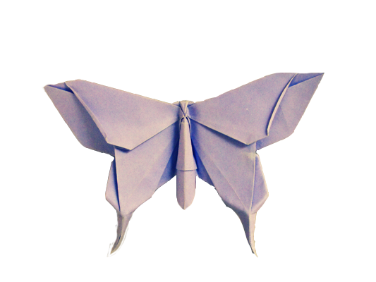 butterfly.png