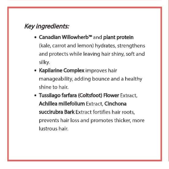 Thumbnail: Botanical Beautifying Shampoo