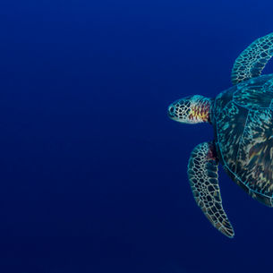 08-10 Ăn Ở Ngay Lành