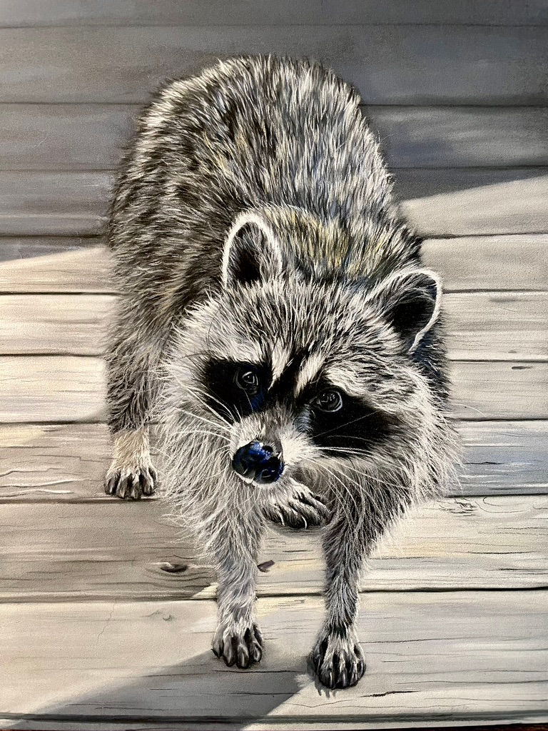 Porch Raccoon Print