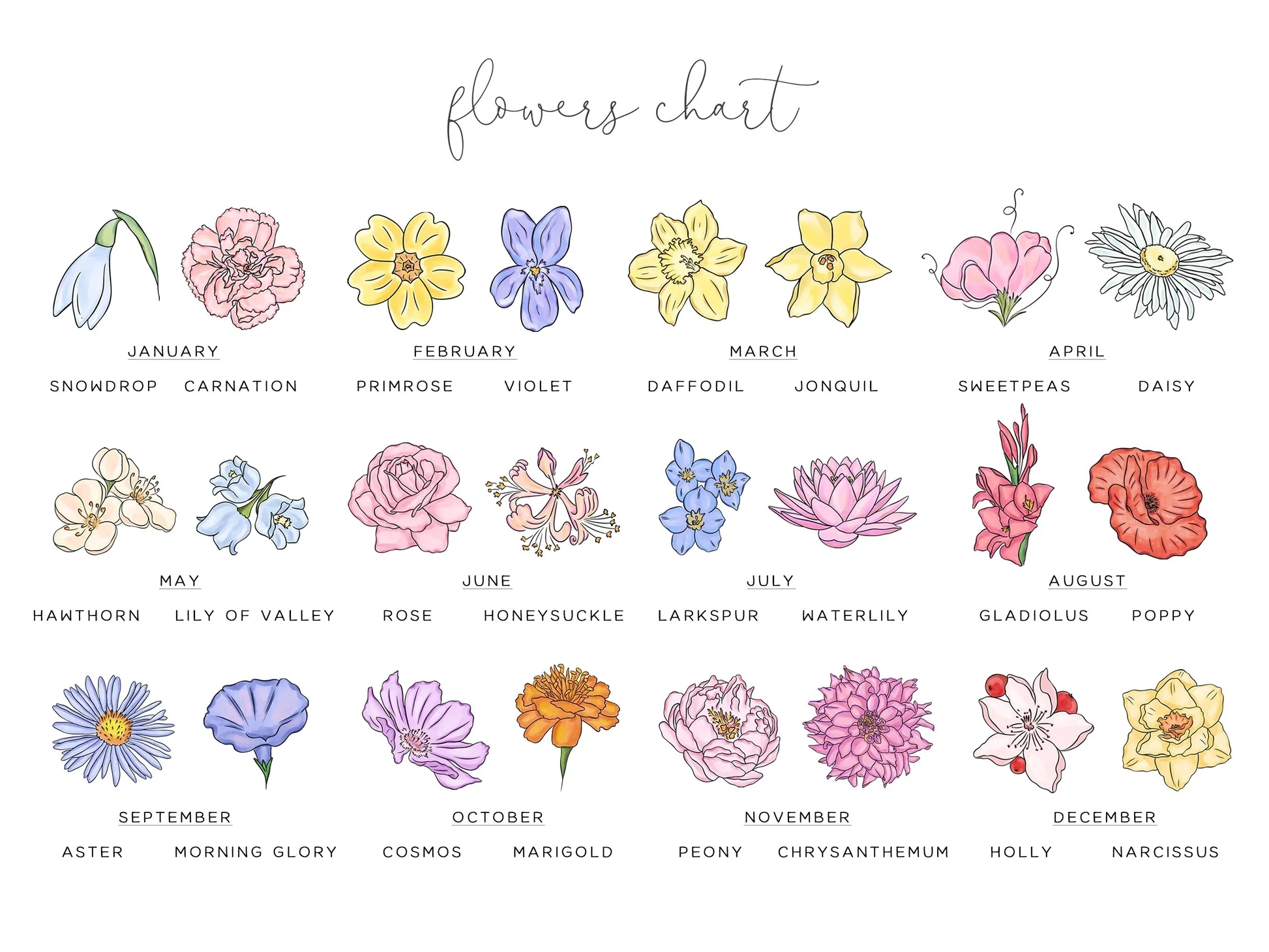 birthflowerschartcopy_b5ab7222-5820-4dc9-abfe-e99ba5f1217f.webp