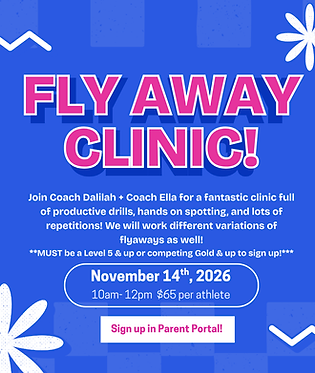 FLY AWAY CLINIC.png