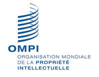 Découvrez le Top 8 des pays africains les plus innovants selon l’OMPI