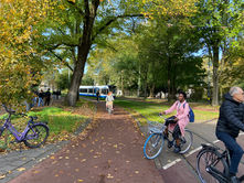 How can Green Infrastructure Support Public Policy and Local Priorities?