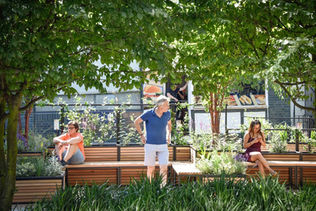 Interview on BBC Essex on the Importance of Shade