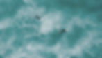 AEnB2UqdR2Zac9DWPUEGT9Eke9q-_vDlIFgJCbhwjnPPyYPMQXRc9ThOm1T-SYr74RQLpLSUpr2DyUgSAiO_LyoECj