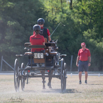 annahuesgesphotography-galerie2022-trainingstag-kisber-15.jpeg