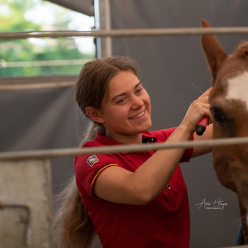 annahuesgesphotography-galerie2022-vetcheck-005.jpeg