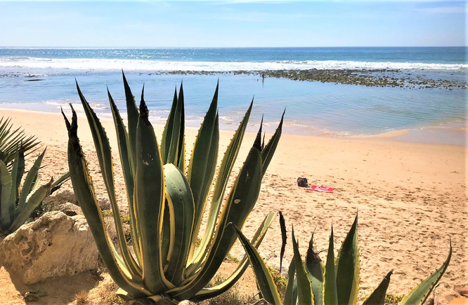 COSTA DE LA LUZ - PLAYA DE LOS CAÑOS DE MECA - PAGO DE ZAHORA BEACH