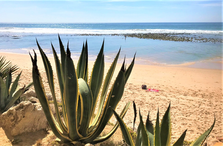 COSTA DE LA LUZ - PLAYA DE LOS CAÑOS DE MECA - PAGO DE ZAHORA BEACH