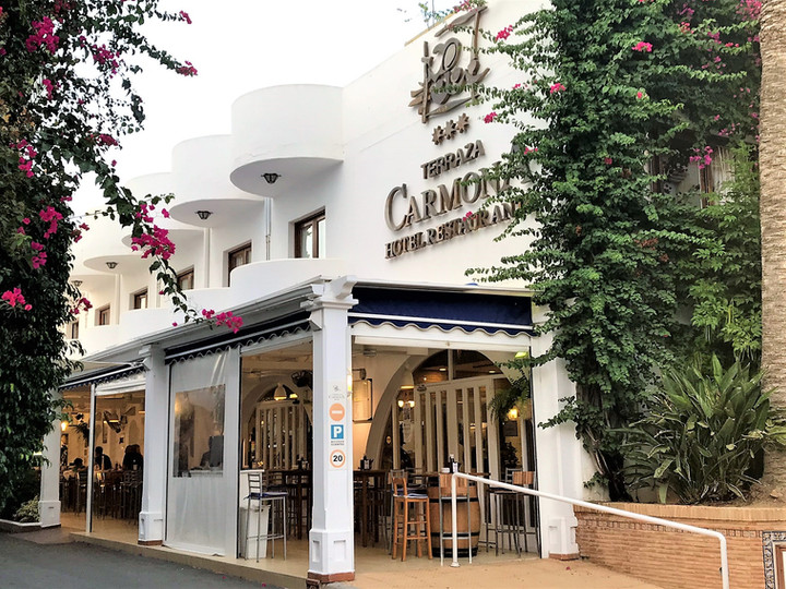 ANDALUCÍA - ALMERÍA - VERA - TERRAZA CARMONA