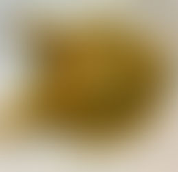 ANDALUSIA - CÁDIZ - EL FARO