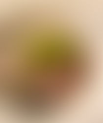 ANDALUCÍA - MÁLAGA CITY - UVEDOBLE TABERNA - TAPAS IN MÁLAGA