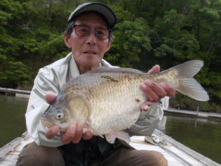 本迫様　超美へら45.7cm釣り上げ上位に！