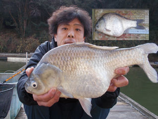 ヒ－ロー橋本様　超超美へら46.0cm釣り上げ2位に浮上！