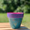 Thumbnail: Squiggle Me Happy - Blue Plant Pot