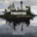 PINKSTON CANYONS Album artwork.jpg