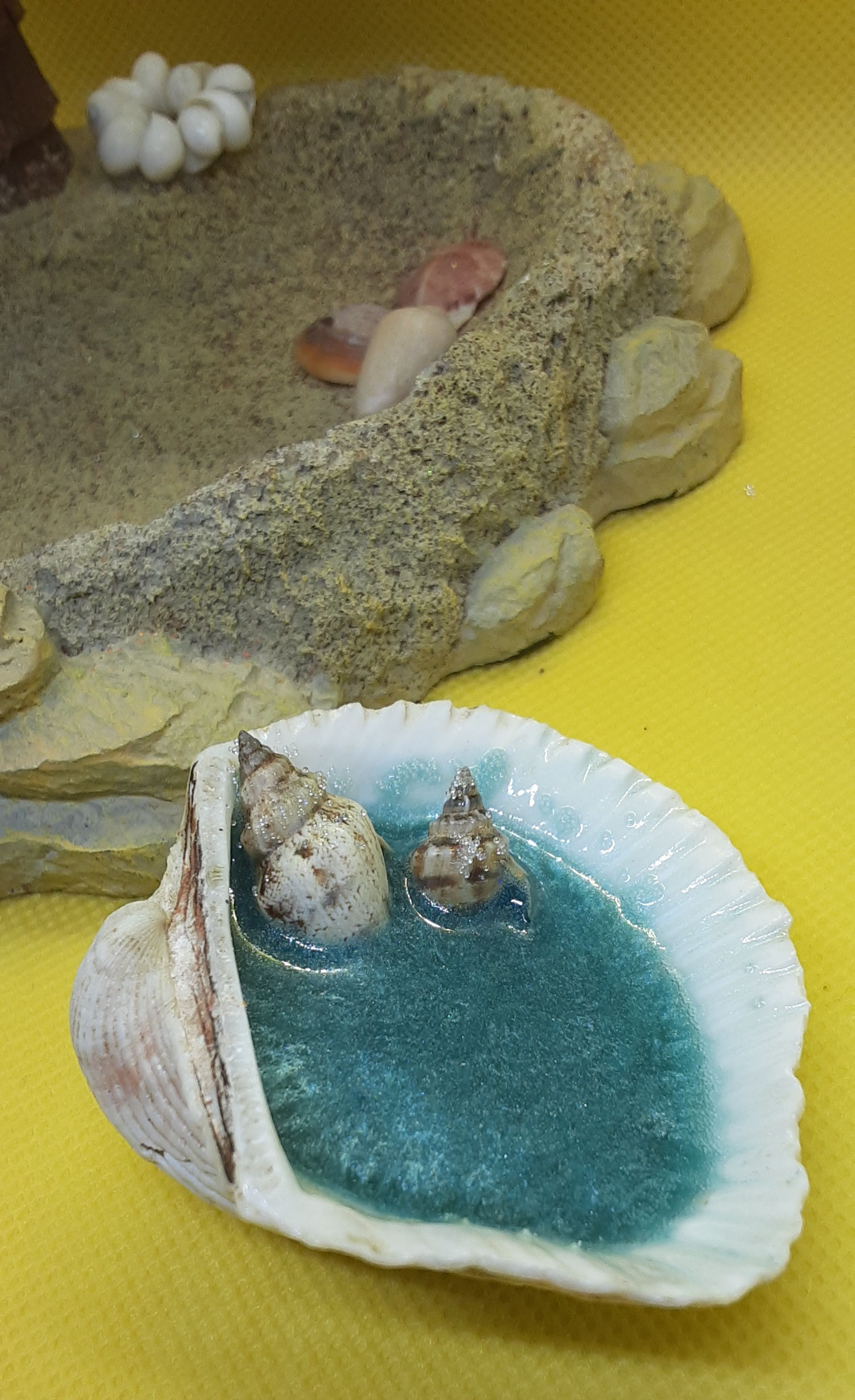 Seashells in the Water