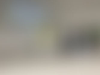 CDL de Maravilha realiza treinamento sobre o Sistema SPC Brasil