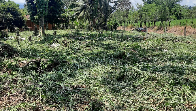 Se Vende Lote Grande en Guácimo, Limón