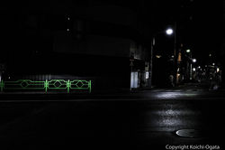 DSCF1599.jpg
