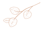 hoja3_edited.png