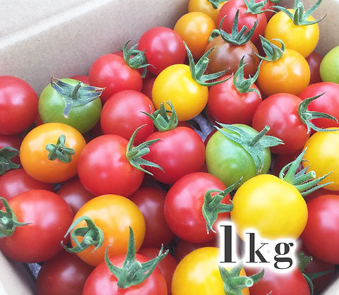 美トマト®️（5色）1kg | くす美トマト農園【公式ウェブサイト
