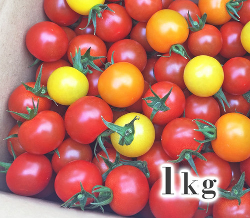 美トマト®️（3色）1kg | くす美トマト農園【公式ウェブサイト