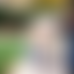 How To Bond With Your New Dog