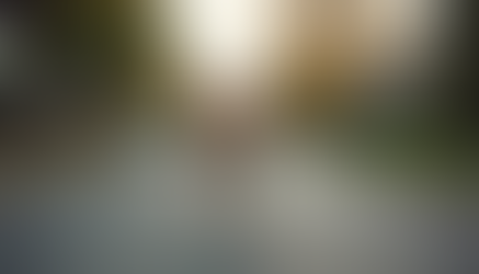 Reinvent Your Dog Walks 