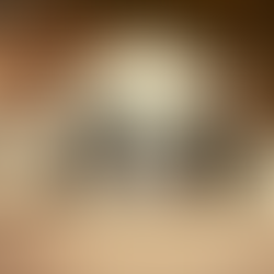 How To Teach Your Dog To Settle