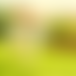   3 Ways To Keep Your Dog Coming When You Call