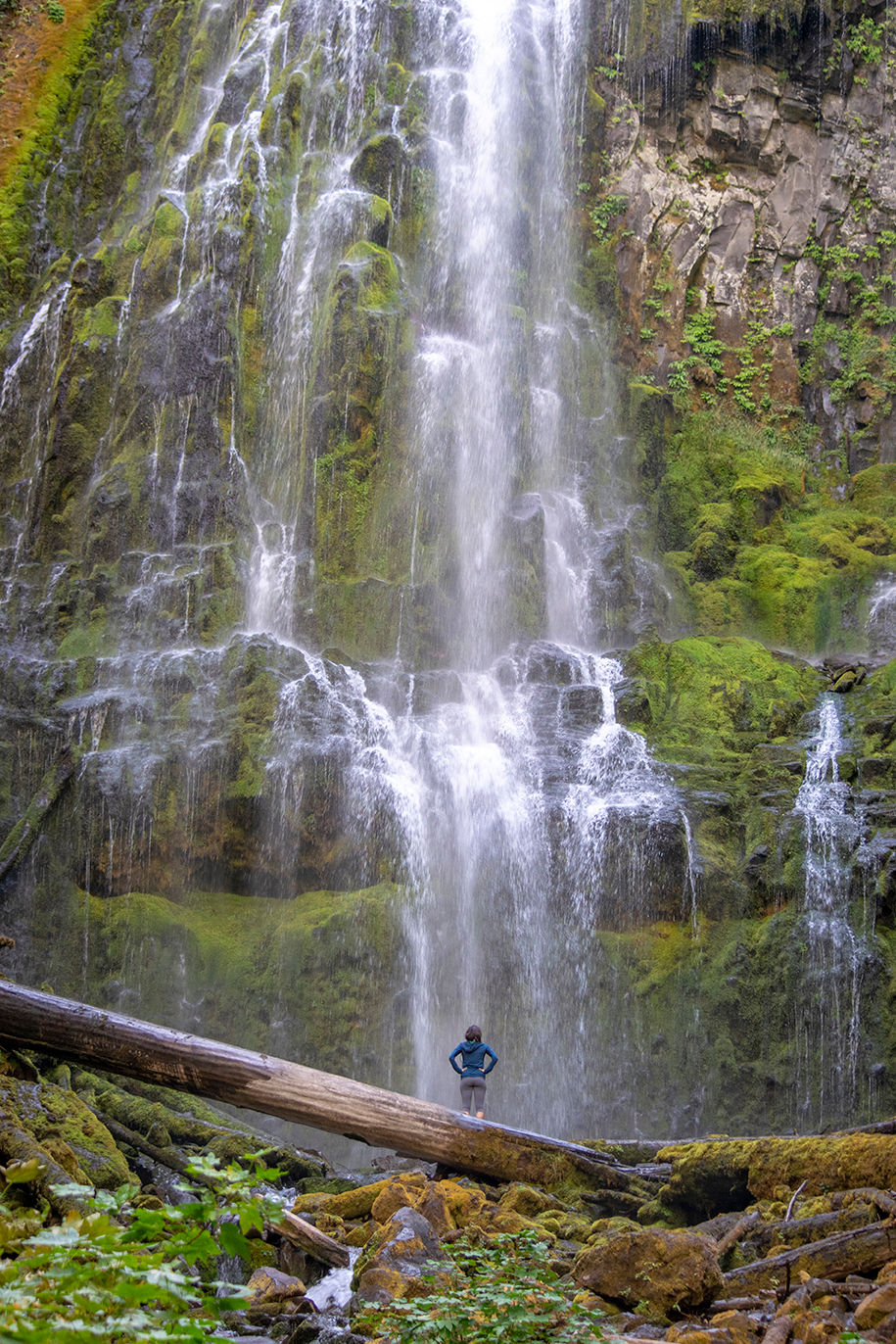 Proxy Falls Central Oregon
