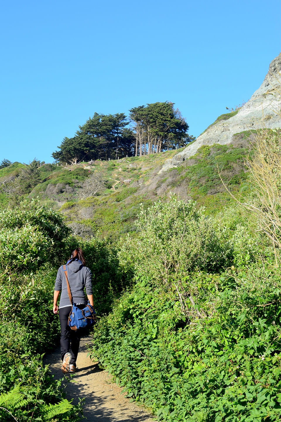 Hike to Marshall Beach San Francisco