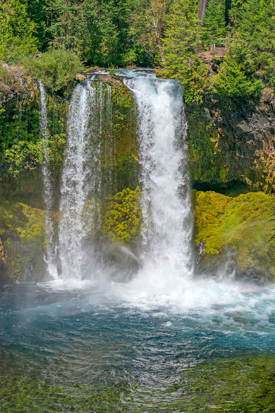 Koosah Falls Central Oregon