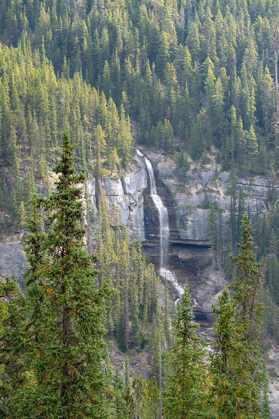 Bridal Veil Falls on Icefields Parkway
