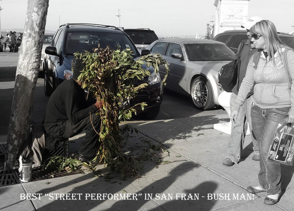 Bush Man - best street performer San Francisco