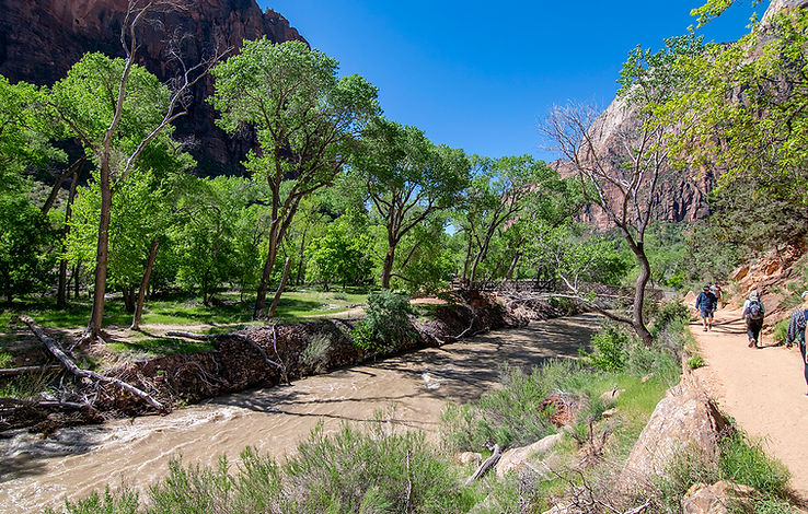 Angels-Landing-Start-Hike-Zion-National-