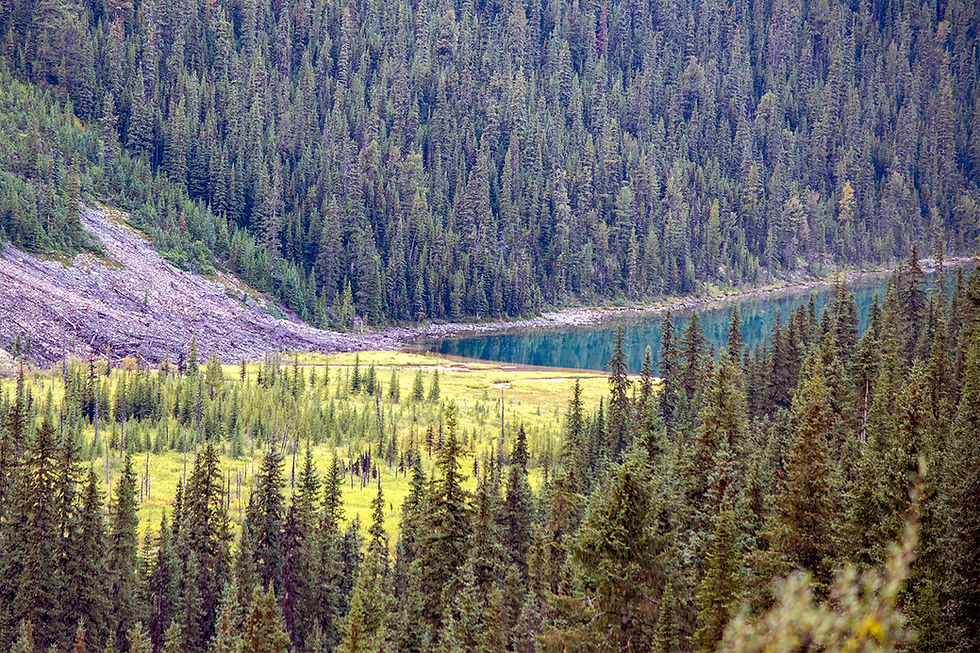 Cavell Lake from Angel Glacier hiking trail