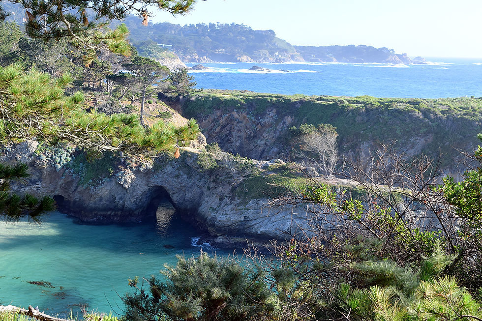 Point Lobos Pacific Ocean