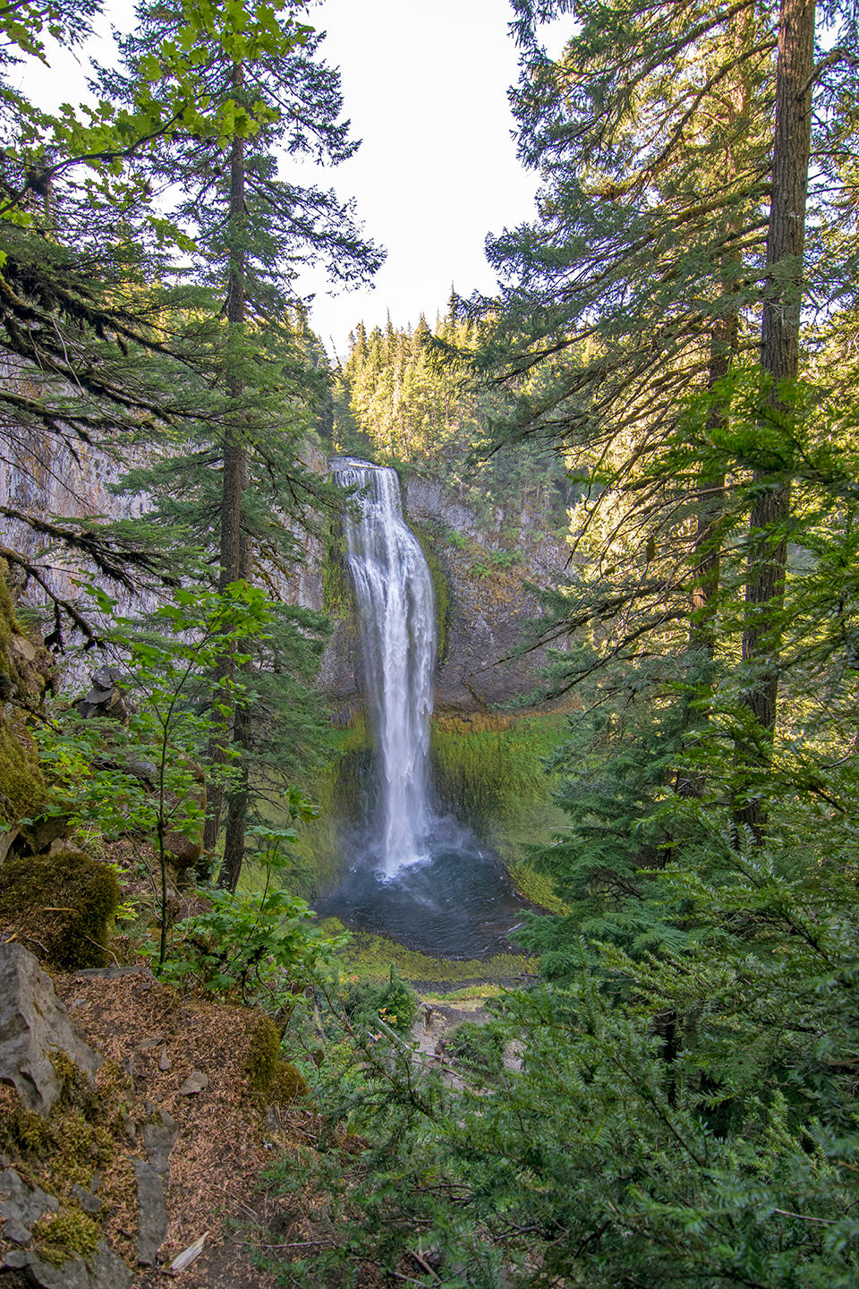 Salt Creek Falls Central Oregon