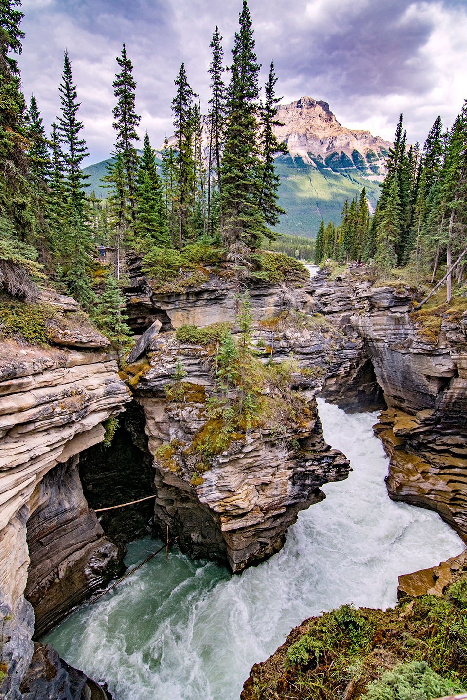 Athabasca Falls Alberta