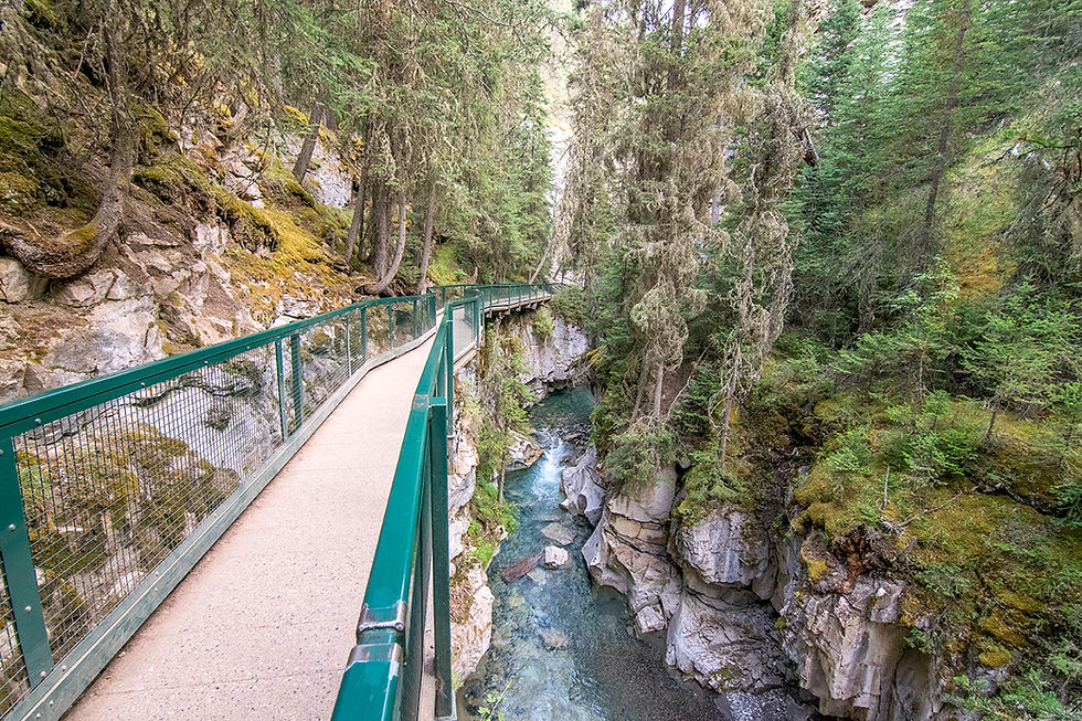 Bridges of Johnston Canyon Banff