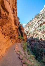 Angels-Landing-Walters-Wiggles-Zion-Nati