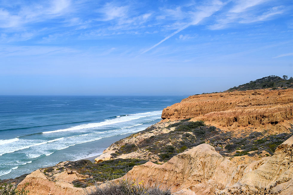 Torrey Pines State Reserve San Diego