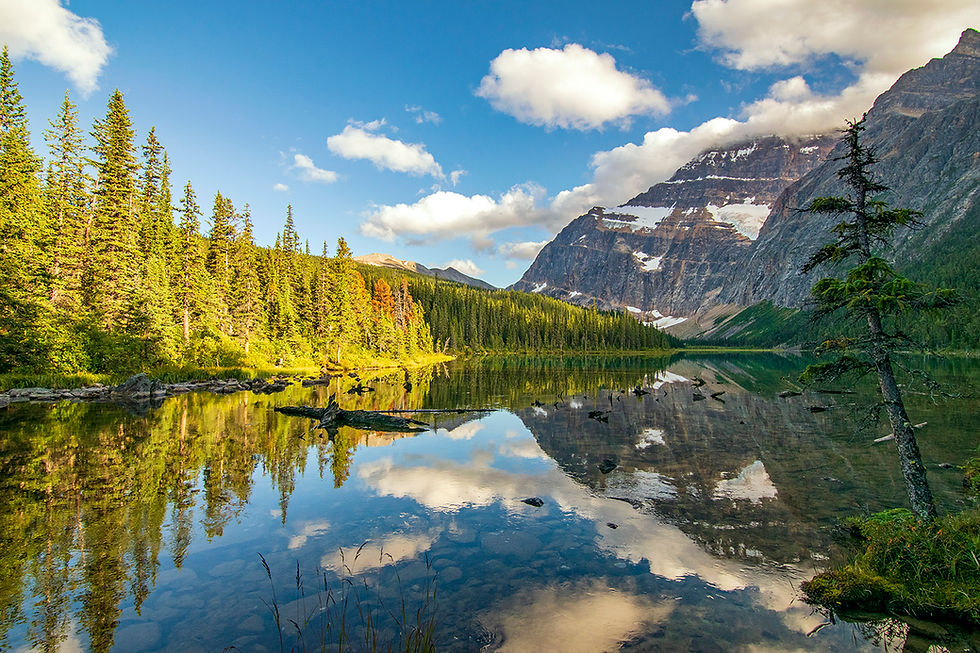 Cavell Lake Mount Edith Cavell
